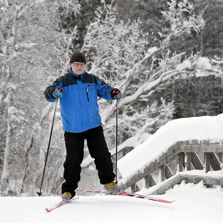 Herttua 4* 凯里迈基